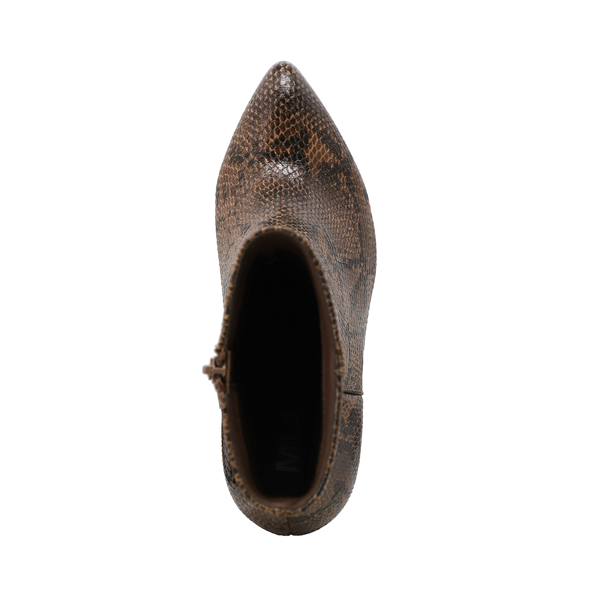 EDIVA - BROWN SNAKE