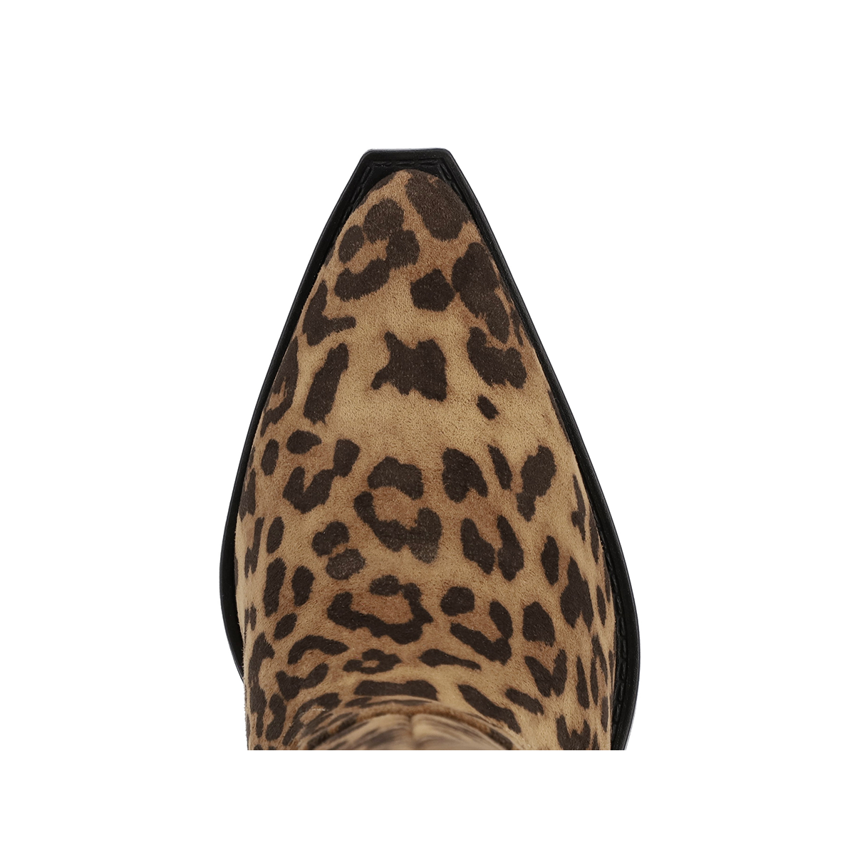 MESSINI - LEOPARD