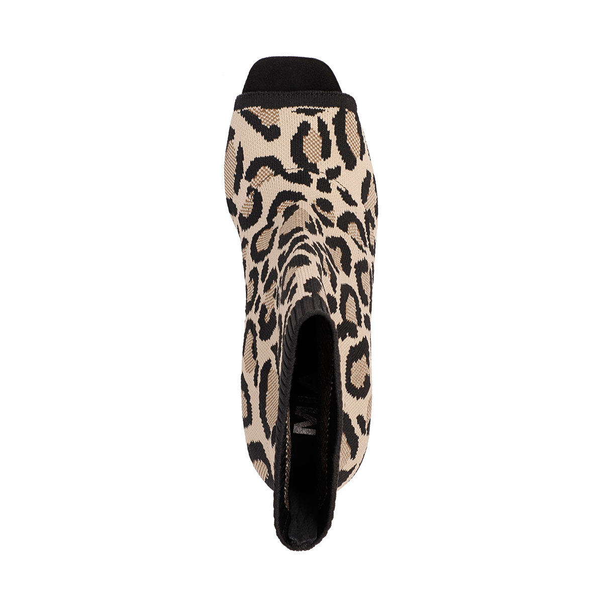 SADDIE - LEOPARD