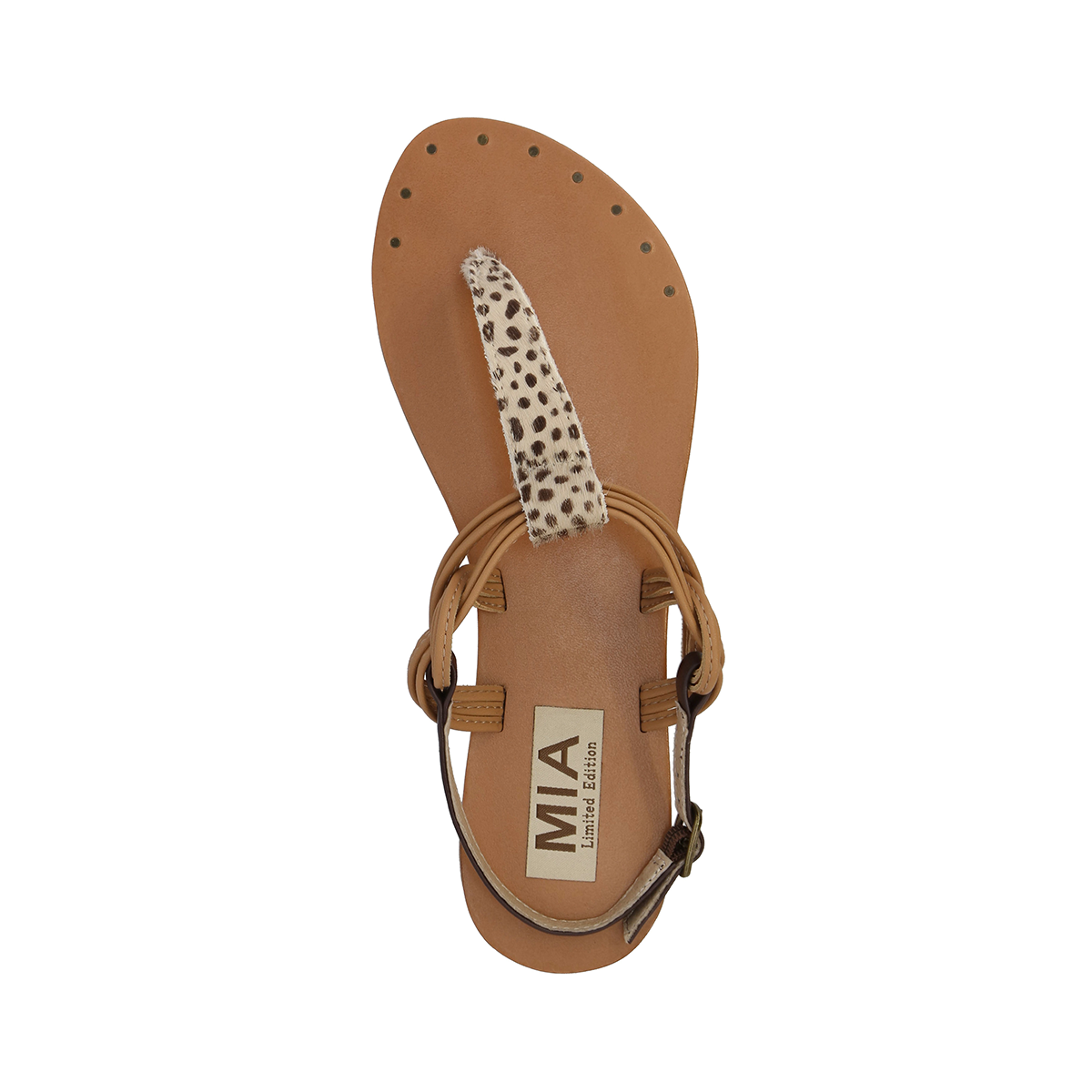 TAZARA - CHEETAH