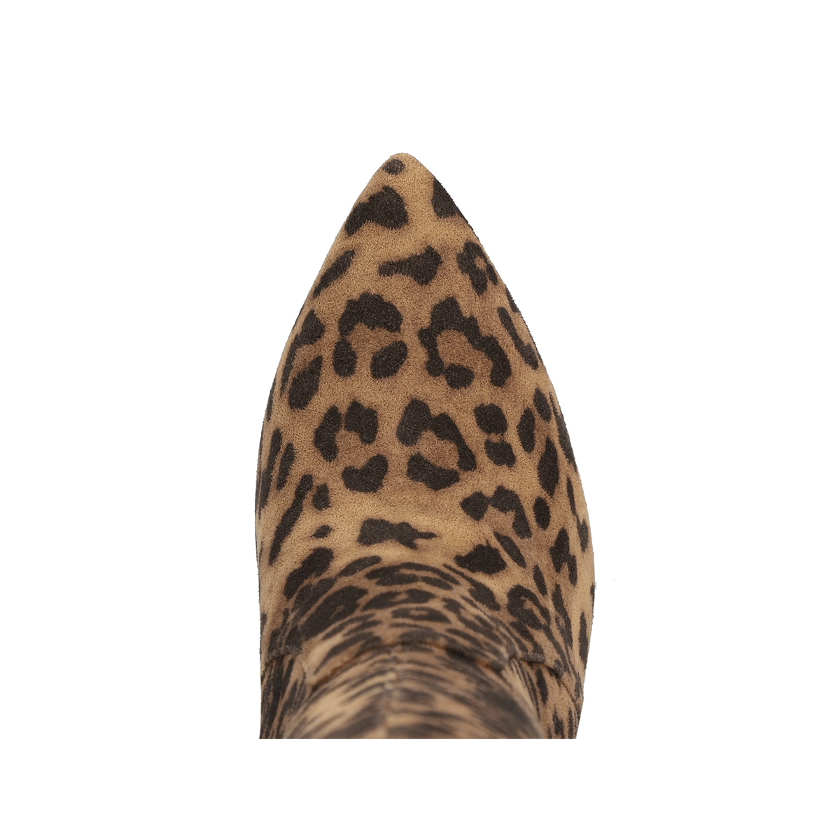 ARISA - LEOPARD