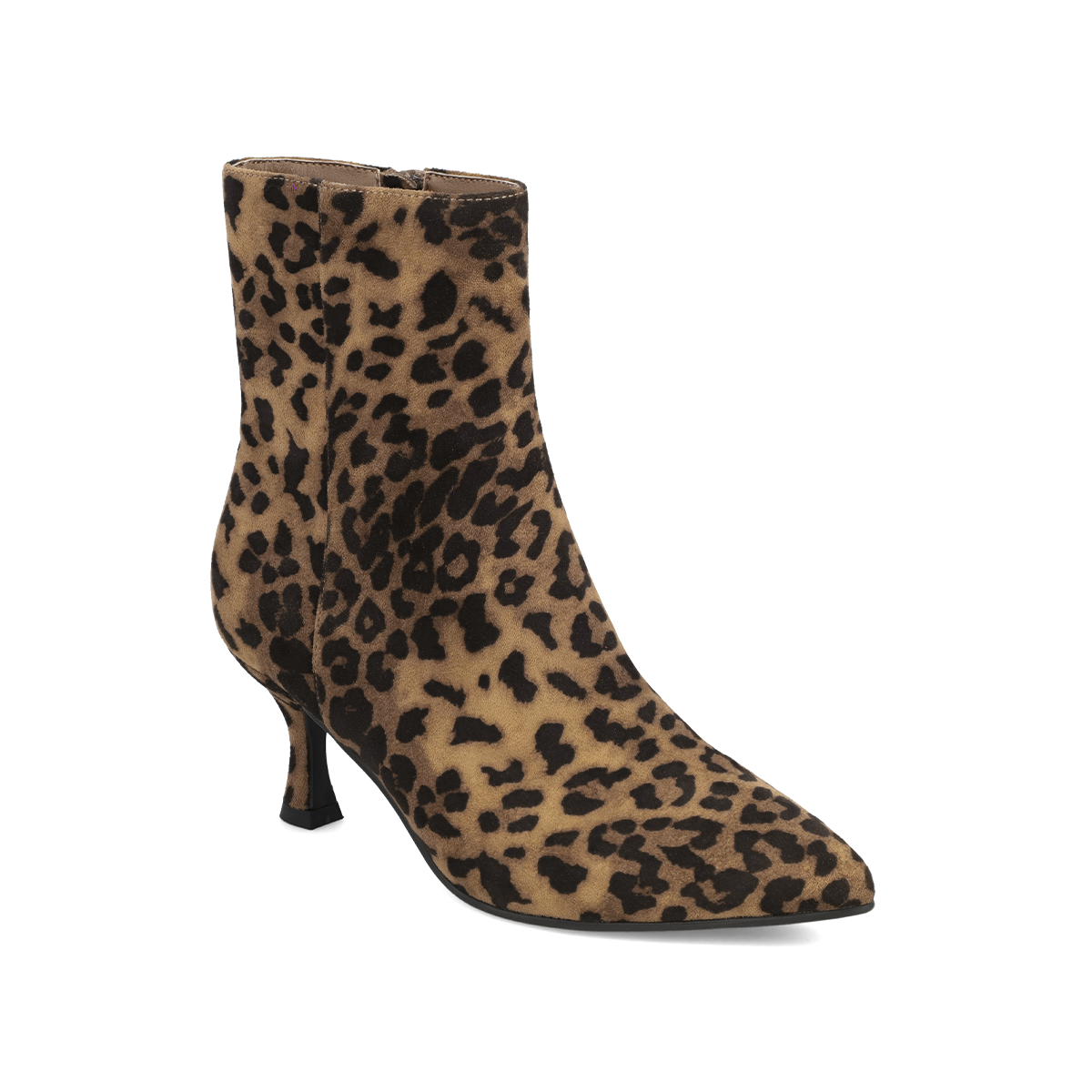 EDIVA - LEOPARD