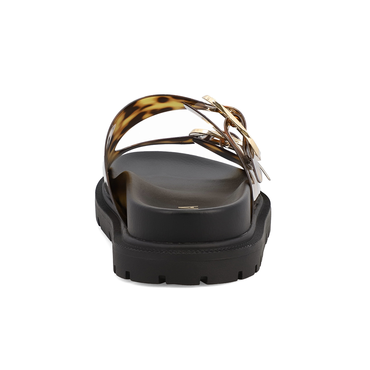 GEN - TORTOISE JELLY