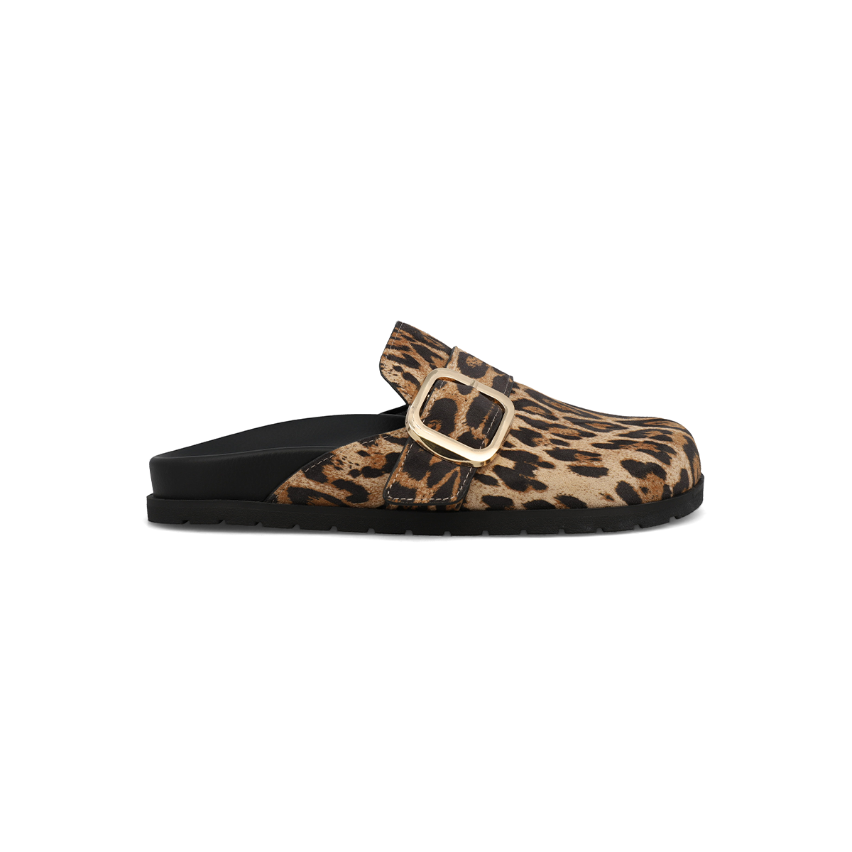 GILIA - LEOPARD