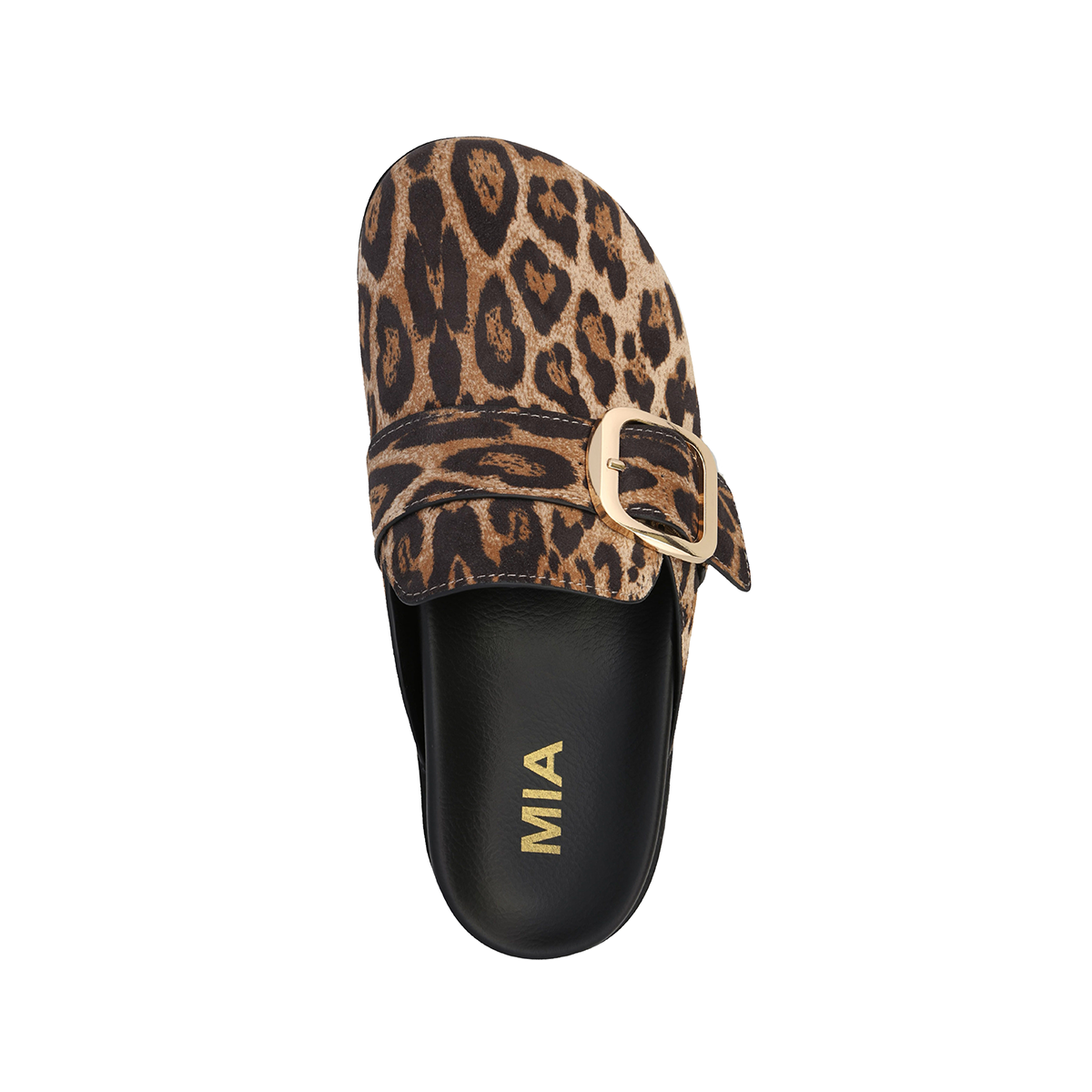 GILIA - LEOPARD